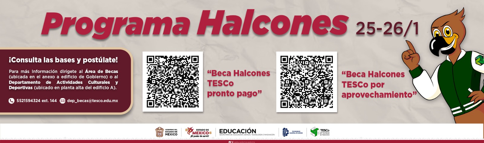 PROGRAMA HALCONES